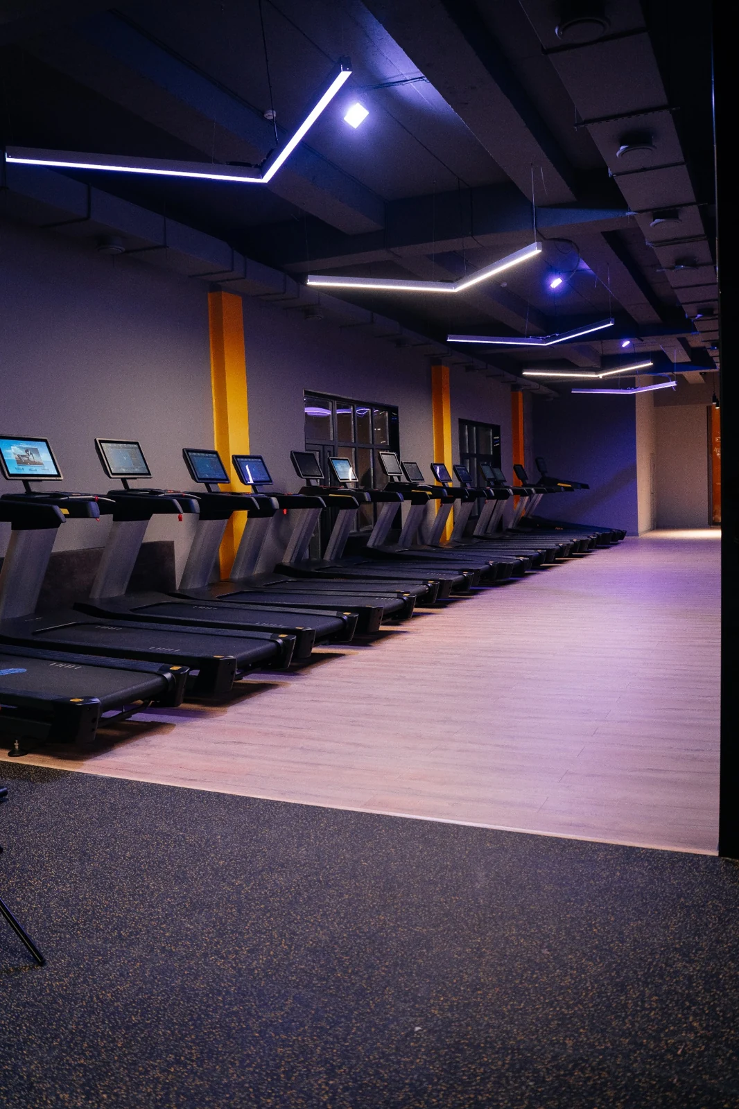 Кардиозона Champion Fitness