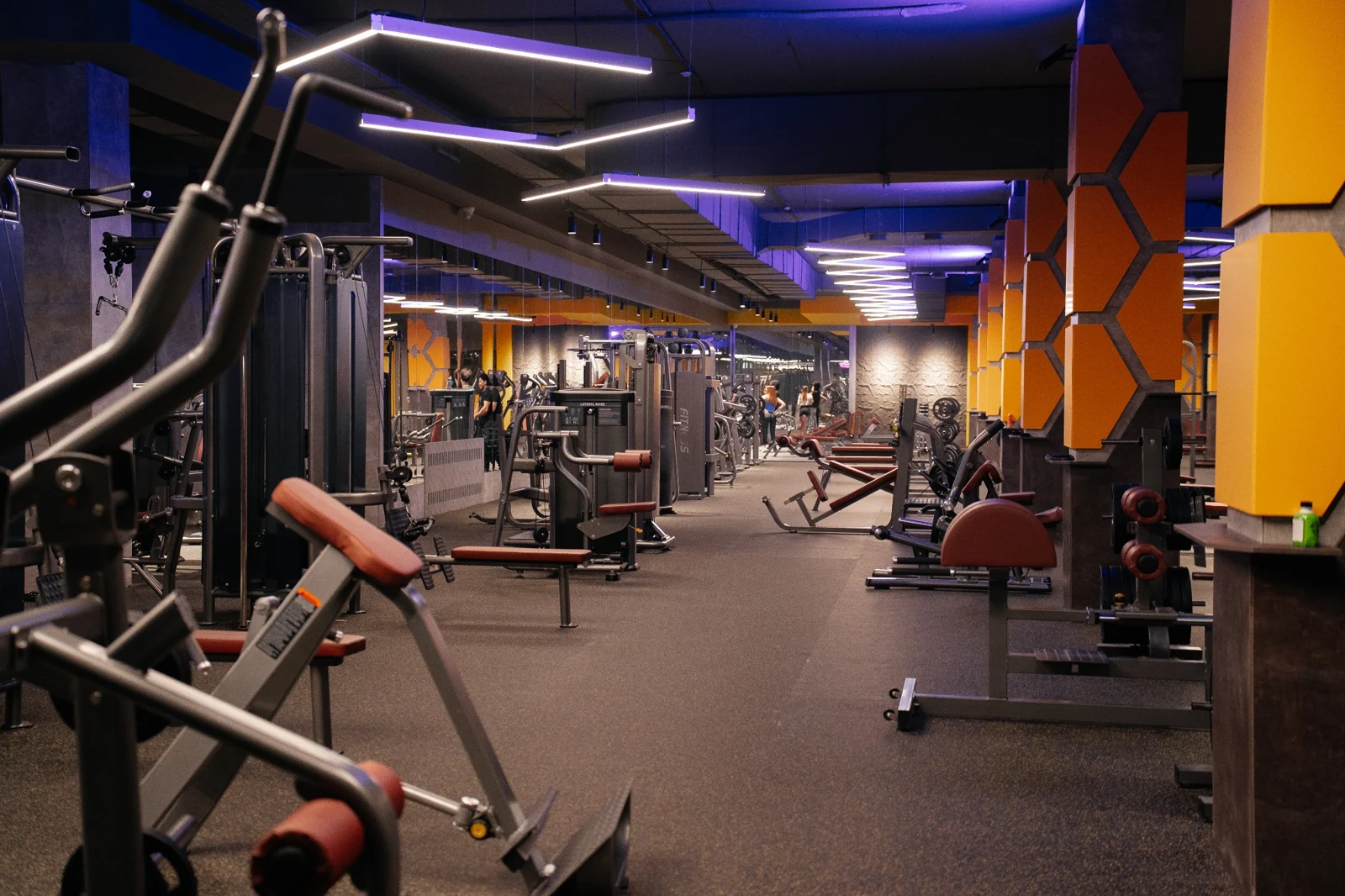 Силовая зона Champion Fitness
