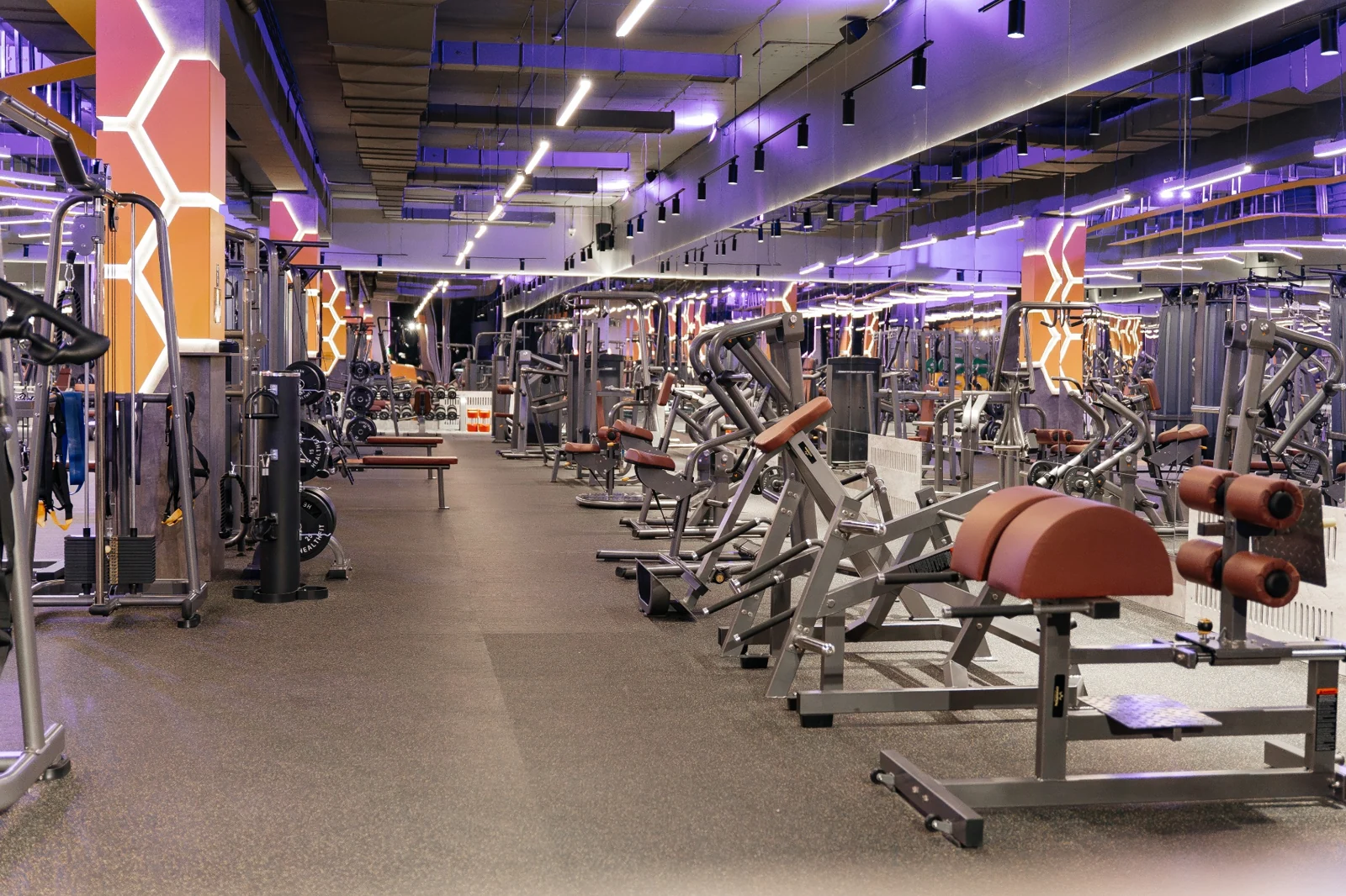 Зоны тренировок Champion Fitness